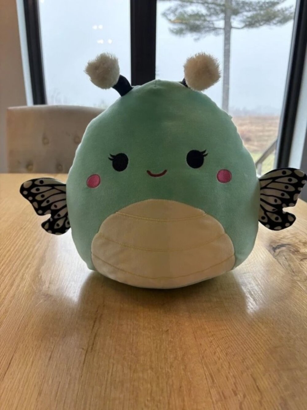 Squishmallow “Taysha” Mint Green 12” Butterfly